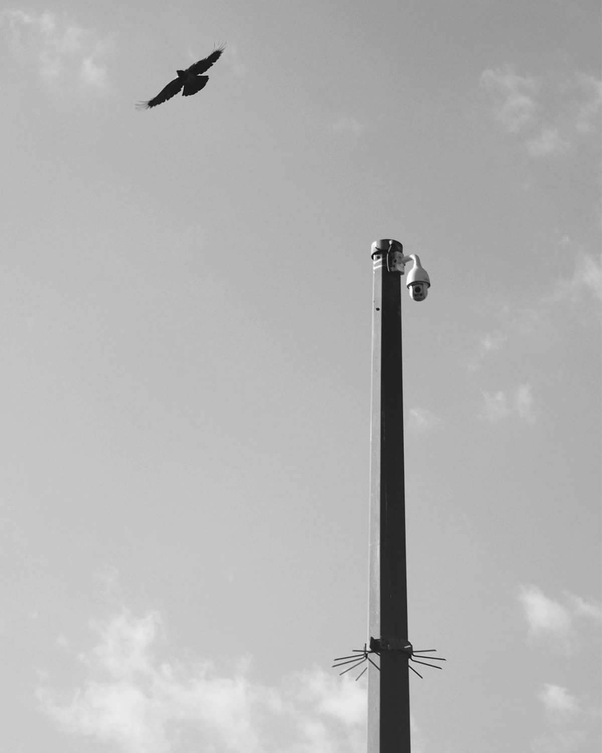 PTZ Κάμερα Ασφαλείας σε Στύλο