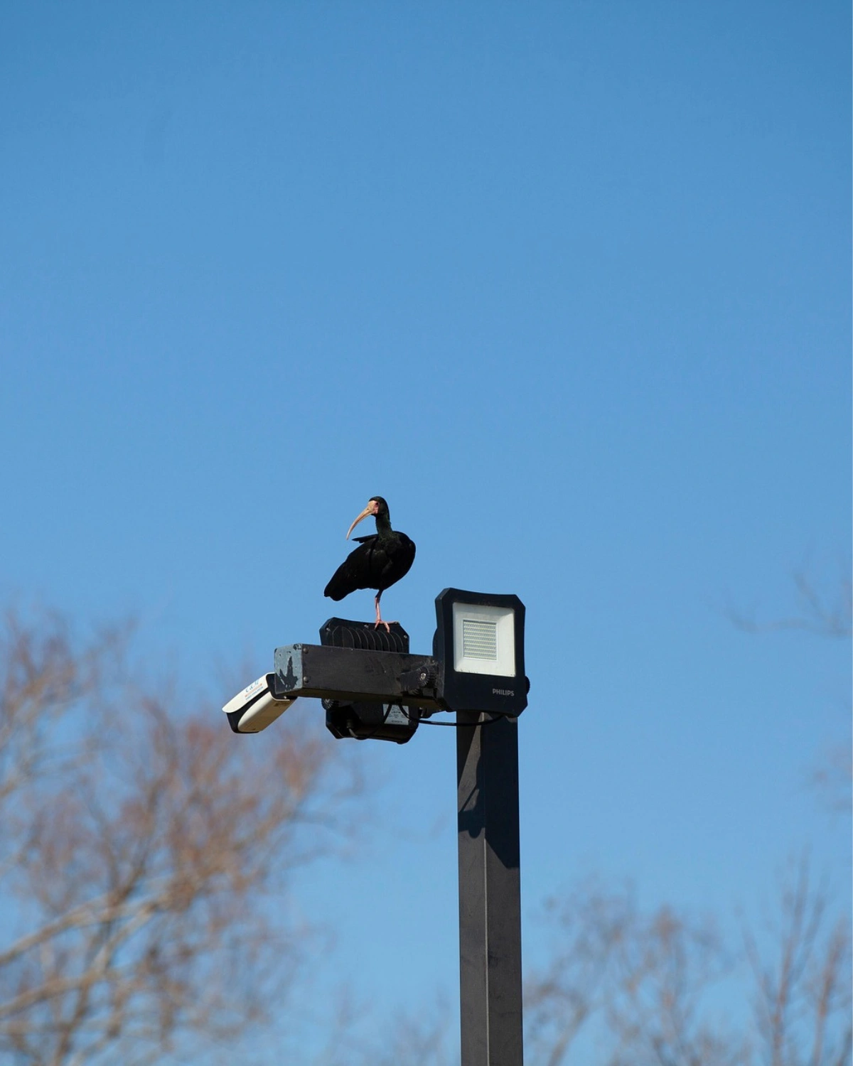 Bullet Κάμερα Ασφαλείας με Led Προβολέα Δίπλα